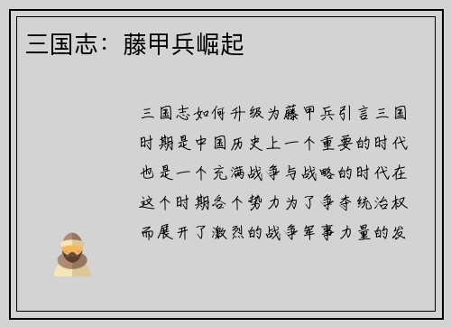 三国志：藤甲兵崛起